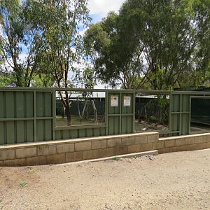 Tortoise and Rhinoceros Iguana Exhibit