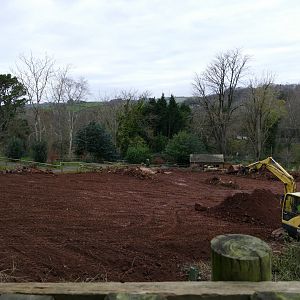 Preparations for the new Savannah, December 2017