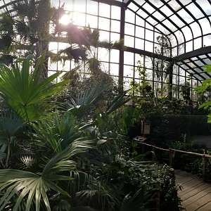 Dec. 2017 - Manatee Springs - Entrance Greenhouse Panorama