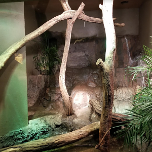Dec. 2017 - Dragons! - Quince Monitor Exhibit