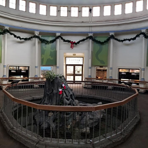 Dec. 2017 - Reptile House Panorama