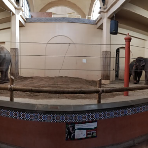 Dec. 2017 - Elephant Reserve - Elephant House Interior Panorama