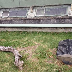 Spur-thighed & Hermann's Tortoise exhibit