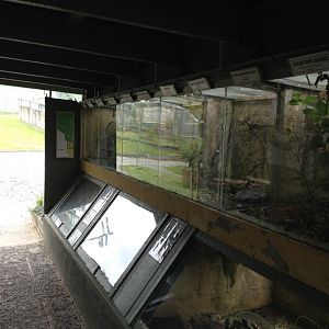 Native Reptiles tanks