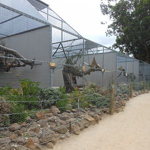 Primate exhibits