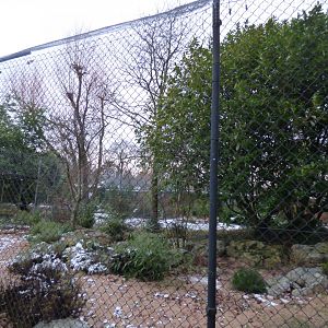 Former Cassowary/Cheetah enclosure (awaiting new inhabitants)