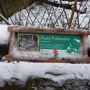Pademelon signage