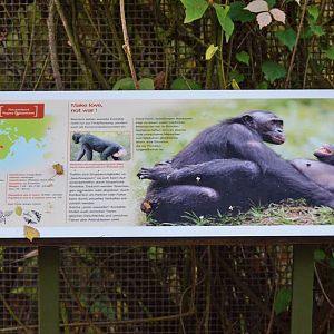 Bonobo Sign