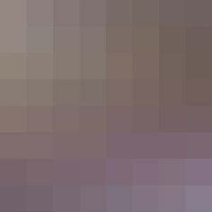 Southern Ground Horbill