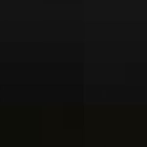 Southern Ground Horbill