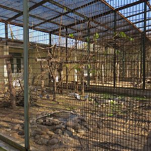 bird enclosure