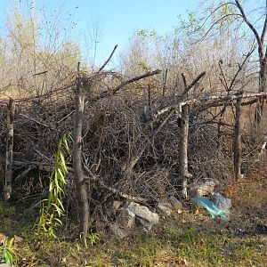 shelter for local animals