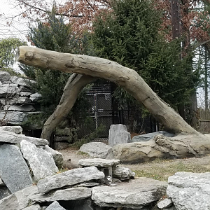 Dec. 2017 - Cat Canyon - New Mock Tree