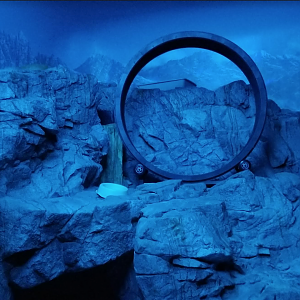 Dec. 2017 - Night Hunters - Odd New Object in Pallas' Cat Exhibit