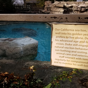 Dec. 2017 - Sea Lion Sign on Why Duke is Alone