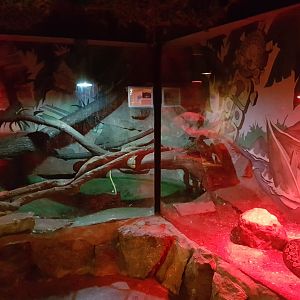 Enclosure Reticulated python