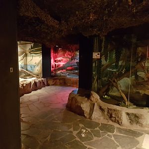 View in Reptilian-house