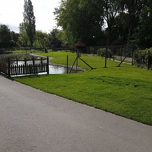 Waterfowl-enclosure