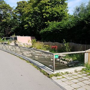 Second Otter-enclosure