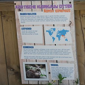 Sign Small-clawed otter
