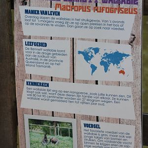 Sign Red-necked wallaby