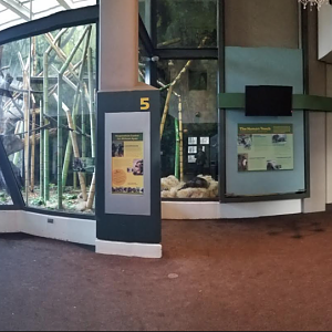 Dec. 2017 - Regenstein Center for African Apes Panorama