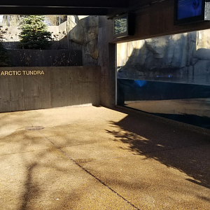 Dec. 2017 - Arctic Tundra - Second Polar Bear Exhibit Underwater View