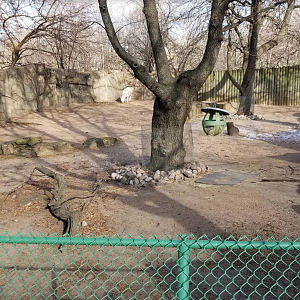 Dec. 2017 - Antelope and Zebra Area - Alpaca + Muscovy Duck Exhibit
