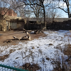 Dec. 2017 - Antelope and Zebra Area - Red Kangaroo Exhibit