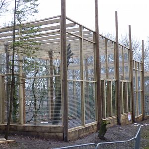 Snow Leopard enclosure extension