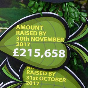 Amount raised for new Orang enclosure