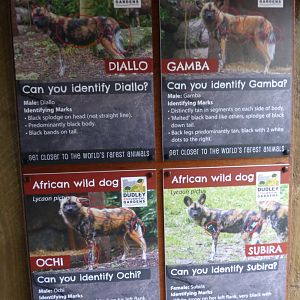 African Hunting Dog signage