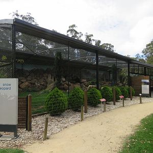 Snow Leopard Exhibit