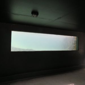 Underwater viewing for saltwater crocodile