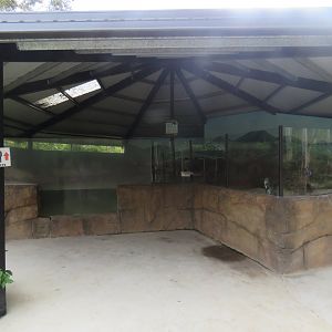 Little Penguin Exhibit