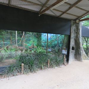 Quoll Exhibit