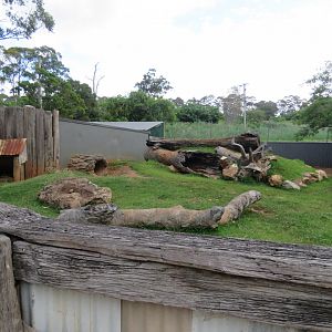 Second Wombat Enclosure