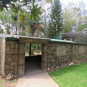 Fennec fox viewing area