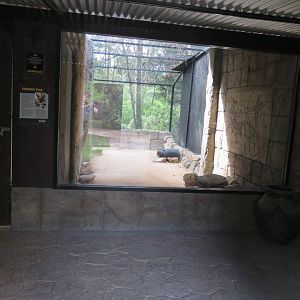 Secondary Fennec Fox Exhibit