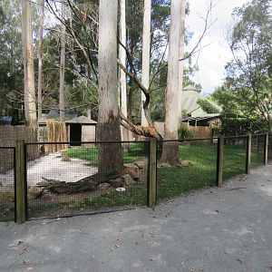 Jabiru and Pelican exhibit