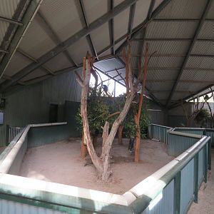 View in Koala House