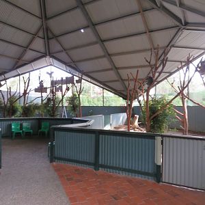 View in Koala House