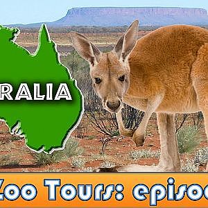 Zootube: Australia Walkthrough