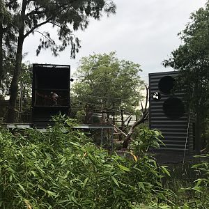 Carnivores - Climbing structures for children