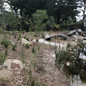 Carnivores - First Tassie Devil enclosure