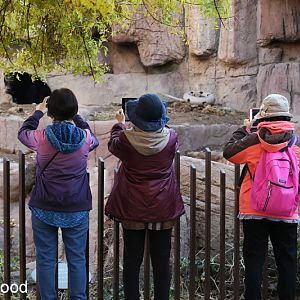 How not to photograph