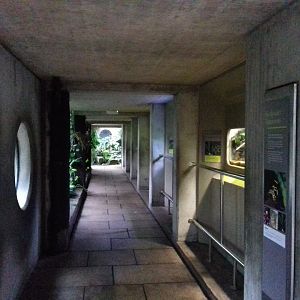 Freshwater Aquarium - Princess of Wales Conservatory