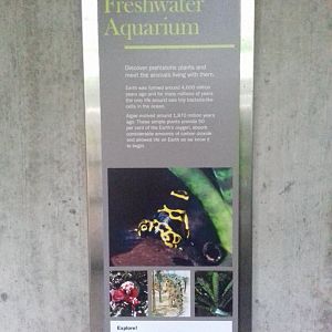 Freshwater Aquarium - Princess of Wales Conservatory