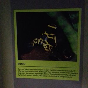 Freshwater Aquarium - Princess of Wales Conservatory