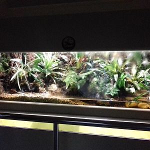 Freshwater Aquarium - Princess of Wales Conservatory